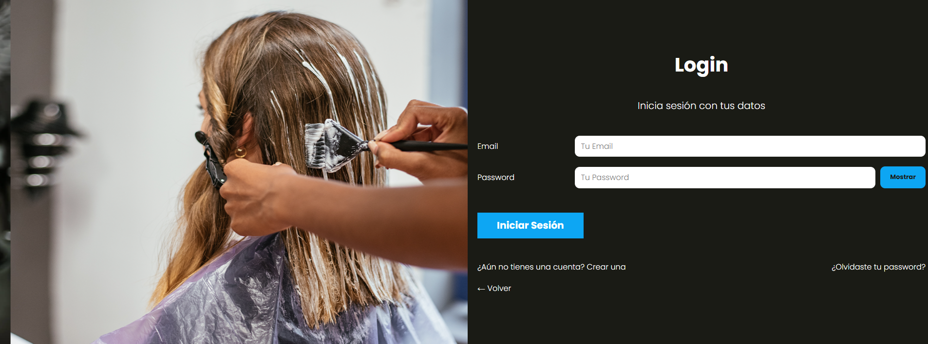 Página de inicio de sesión